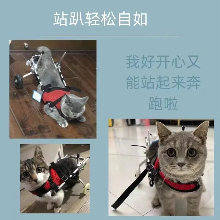 Silla de ruedas para gatos, mascota discapacitada, vehículo auxiliar de dos ruedas, ancianos, gatos, perros, conejos, silla de ruedas para mascotas, pierna trasera, ciclomotor para hemiplejia - imagen 2