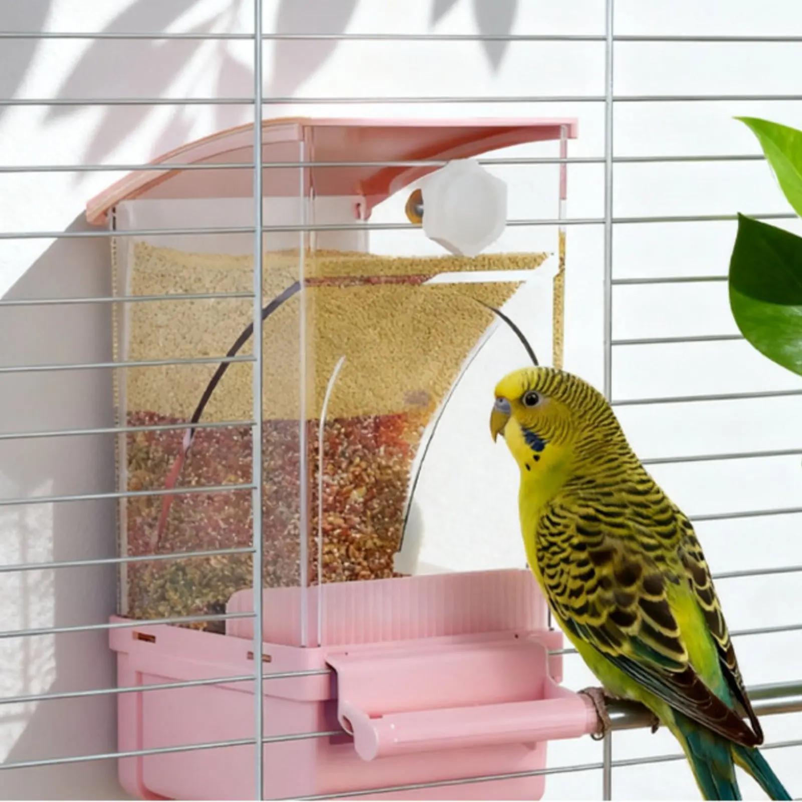 Comedero automático para aves con separador de cáscaras - imagen 3