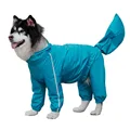blue for boy dog