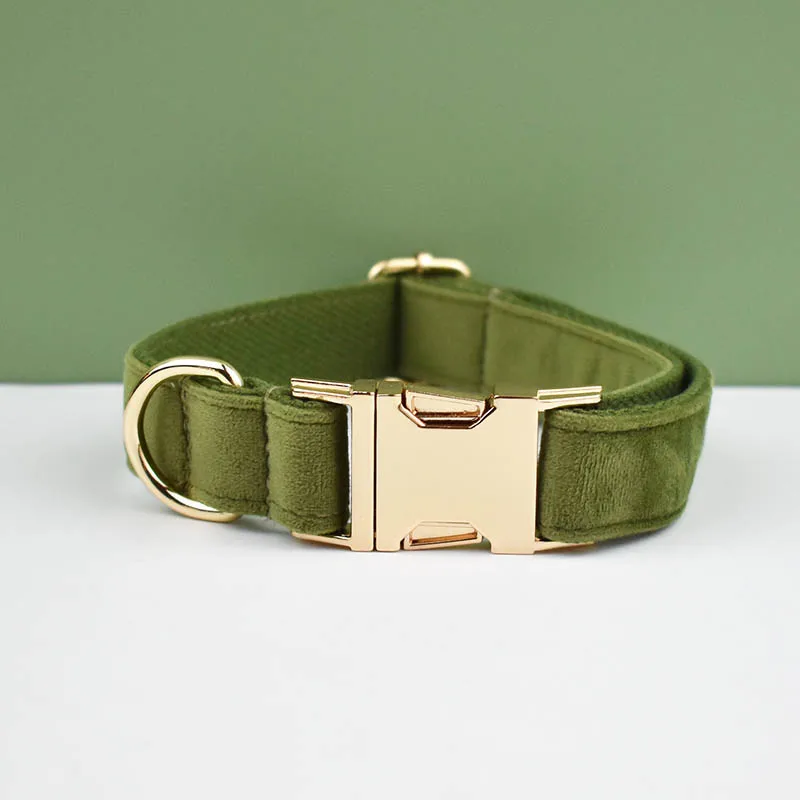 Dog collar32