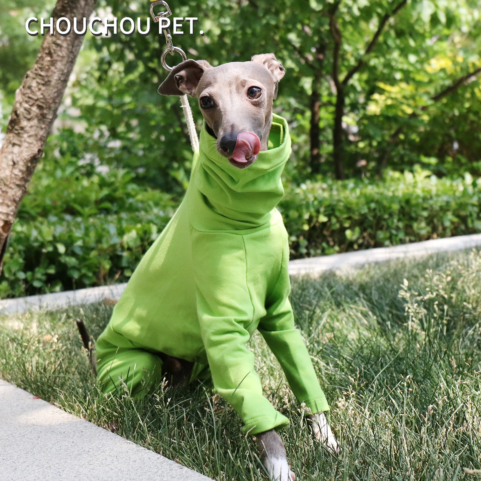 Onesies súper cómodos para grises italianos, Whippets y galgos | Sudaderas con capucha | Ropa Sighthound | Verde - imagen 4