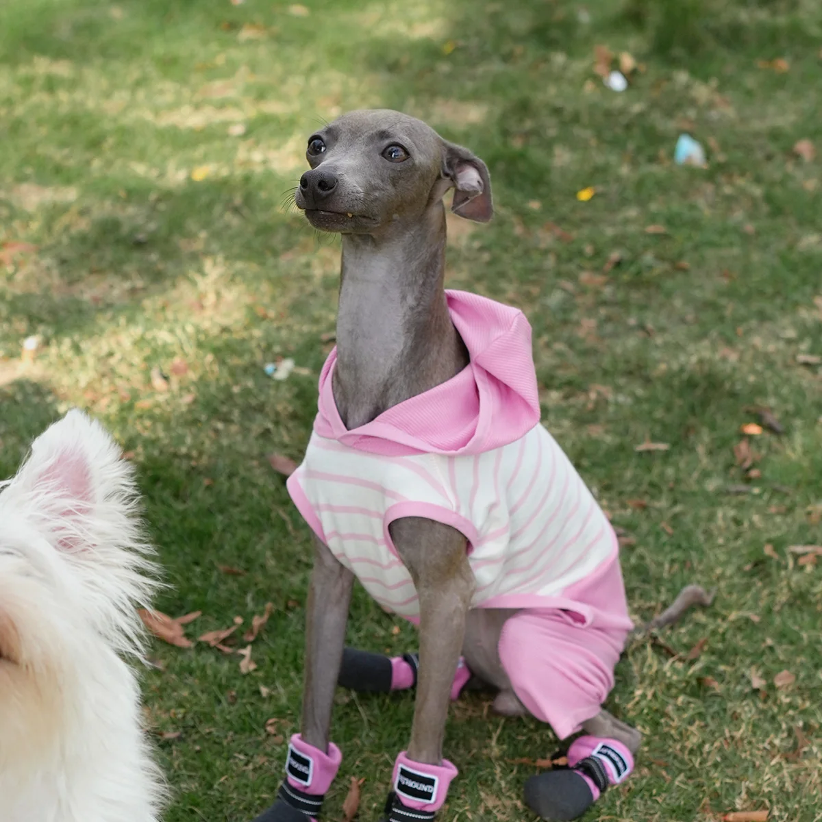 Ropa de rayas rosas para perros galgo italiano, mono de algodón de una pieza para primavera y verano, camiseta de alta elasticidad, pantalón para Whipbit - imagen 4