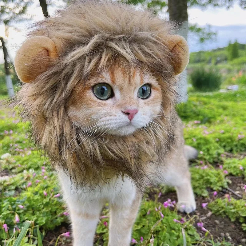 Ropa divertida para mascotas, gorro, peluca de gato, disfraz de crinera de León, sombrero de perro y gatito con orejas, suministros para fiesta elegante - imagen 3