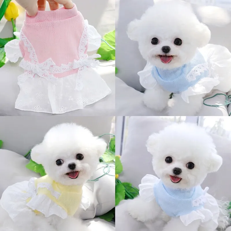 Vestido de primavera/verano para mascotas, chaleco con mangas de encaje, vestido de princesa con oso de peluche para perros pequeños, chaleco para cachorros, ropa para perros pequeños - imagen 2
