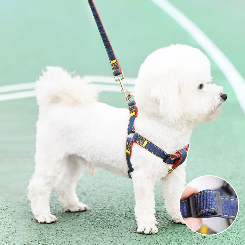 Correa de vaquero para perro, anillo para el cuello, cachorro pequeño, mediano y grande, Teddy, golden retriever, correa para el pecho, correa para caminar para perro