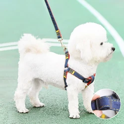 Correa de pecho para perro – Ajustable para todas las tallas
