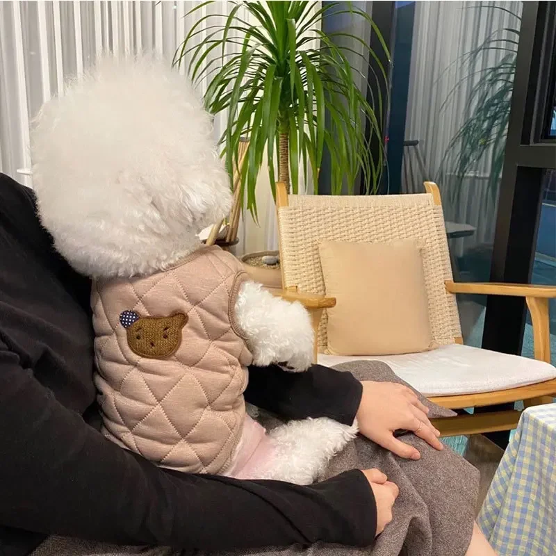 Chaleco cálido para cachorros y perros, ropa para perros pequeños, abrigo de algodón para mascotas, otoño e invierno - imagen 3