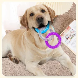 Juguete para perros disco de entrenamiento mordida resistente