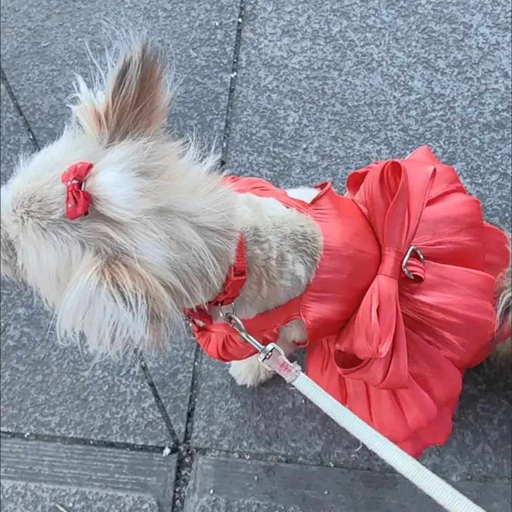 Vestidos para perros y gatos de Color sólido con anillo en D para perros pequeños Chihuahua Pomerania cachorro ropa de verano para mascotas vestidos para perritas - imagen 4