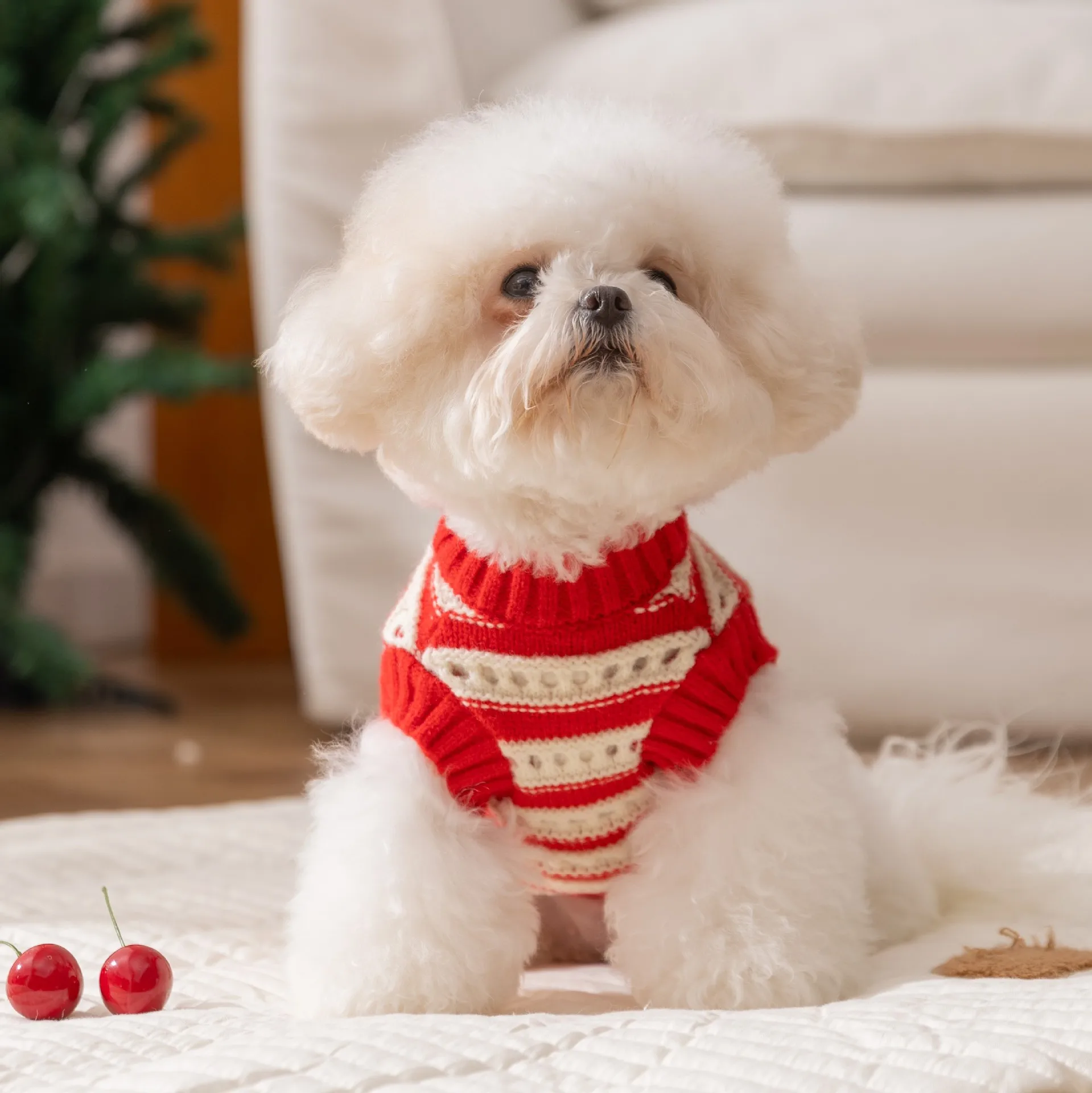 Suéter de punto de Navidad para mascotas, suéter a rayas de cereza roja, ropa para perros pequeños de peluche, ropa para perros de dos patas, Otoño/Invierno - imagen 4