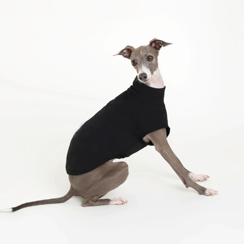 Camiseta negra fresca de verano para perros Whipbit, resistencia a insectos al aire libre, abrigo ligero y transpirable de secado rápido para galgo italiano - imagen 2