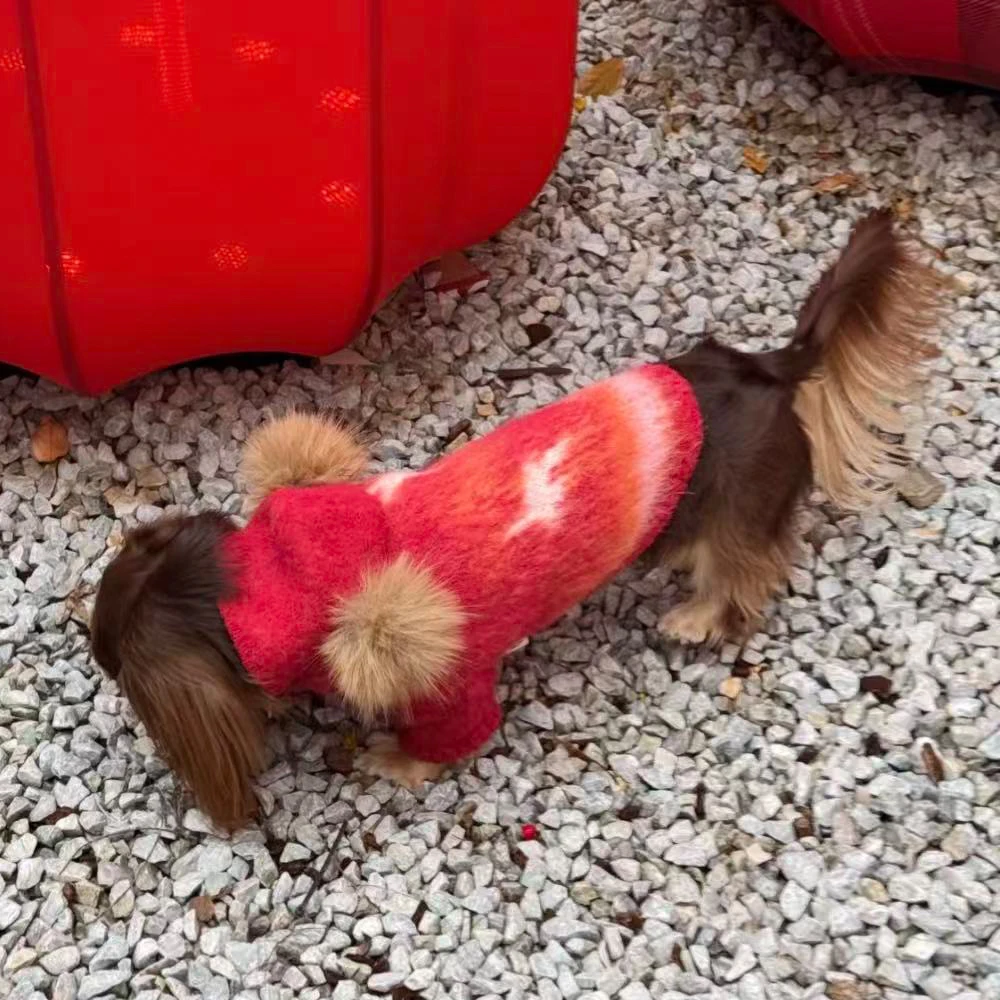 Suéter con capucha y peluche para perros dachshund-abrigo rojo cálido - imagen 5