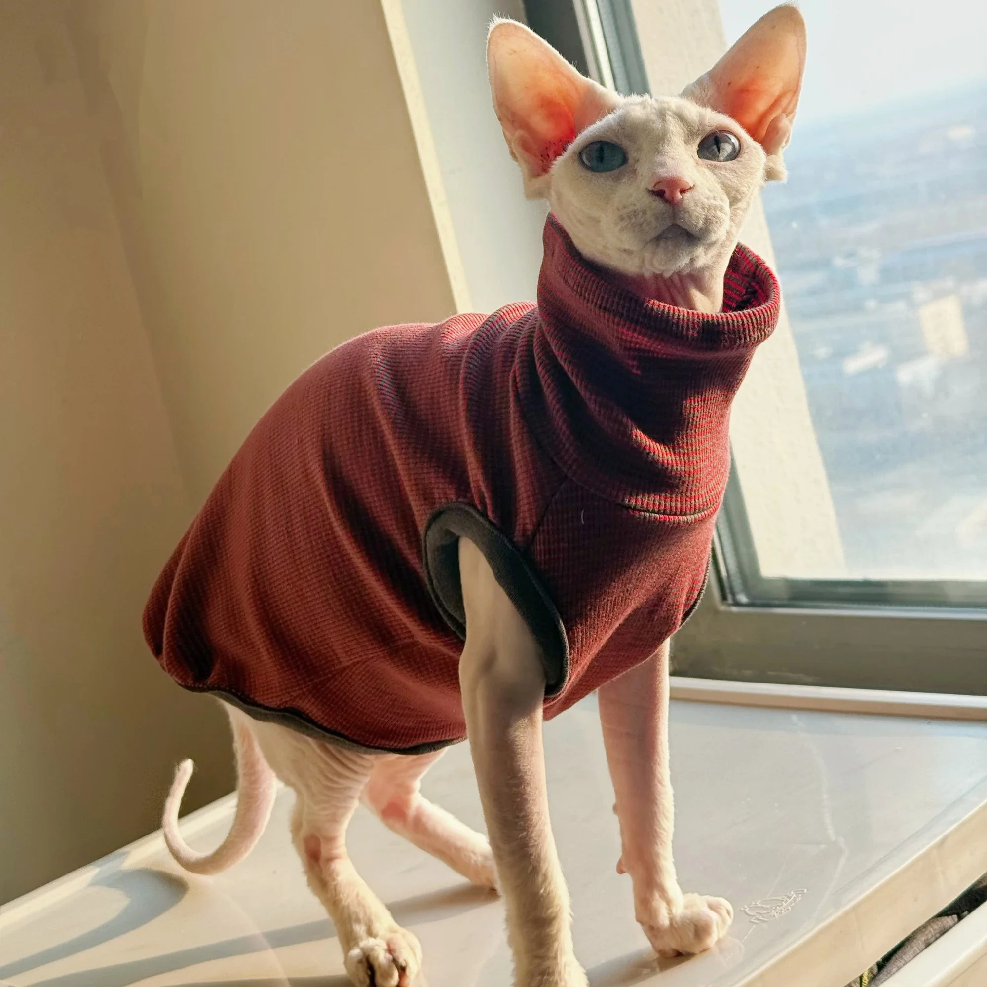 Camiseta suave de cuello alto para gatos sin pelo - Rojo verano