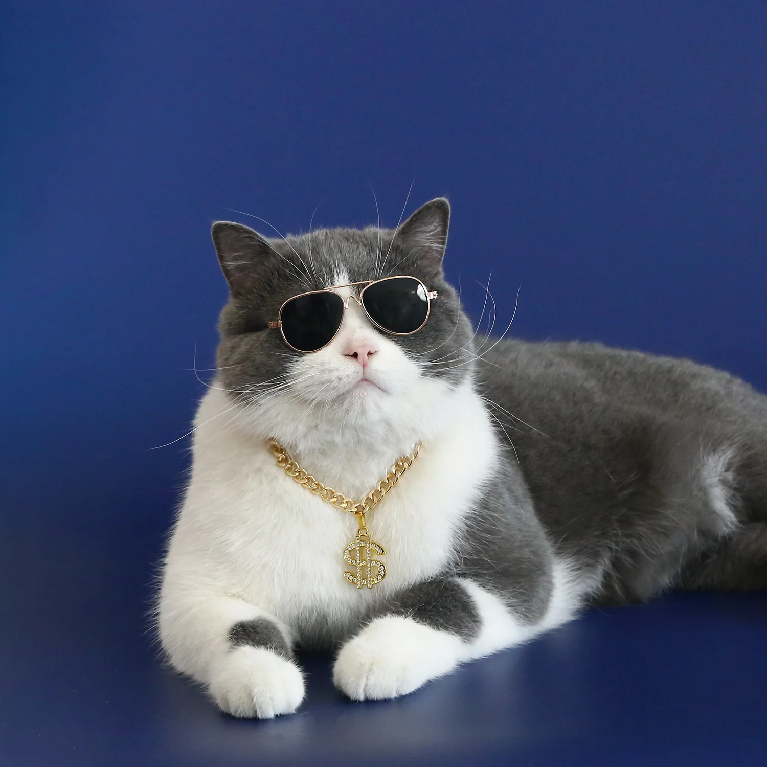 Collar de lujo para mascotas para gatos, perros pequeños, Collar con forma de dólar para gatos, Collar ajustable para cachorros y gatitos, Collar de Cosplay para mascotas - imagen 2