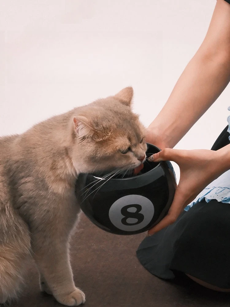 Cuenco de cerámica para gatos con diseño de billar de dibujos animados coloridos, cuidado de la columna Cervical, accesorios de alimentación para mascotas, cuenco de comida para beber - imagen 5