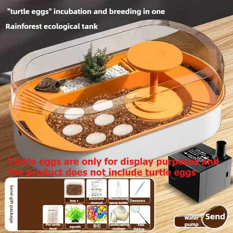 Caja para incubar huevos de tortuga, almacén de acuicultura, caja de cría de observación portátil, cabina pequeña para niños, huevos no incluidos - imagen 5