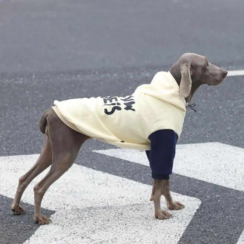 Primavera otoño 2 patas Patchwork perro grande Sudadera con capucha perro Golden Retriever Labrador trajes disfraz de moda para perros medianos y grandes - imagen 4