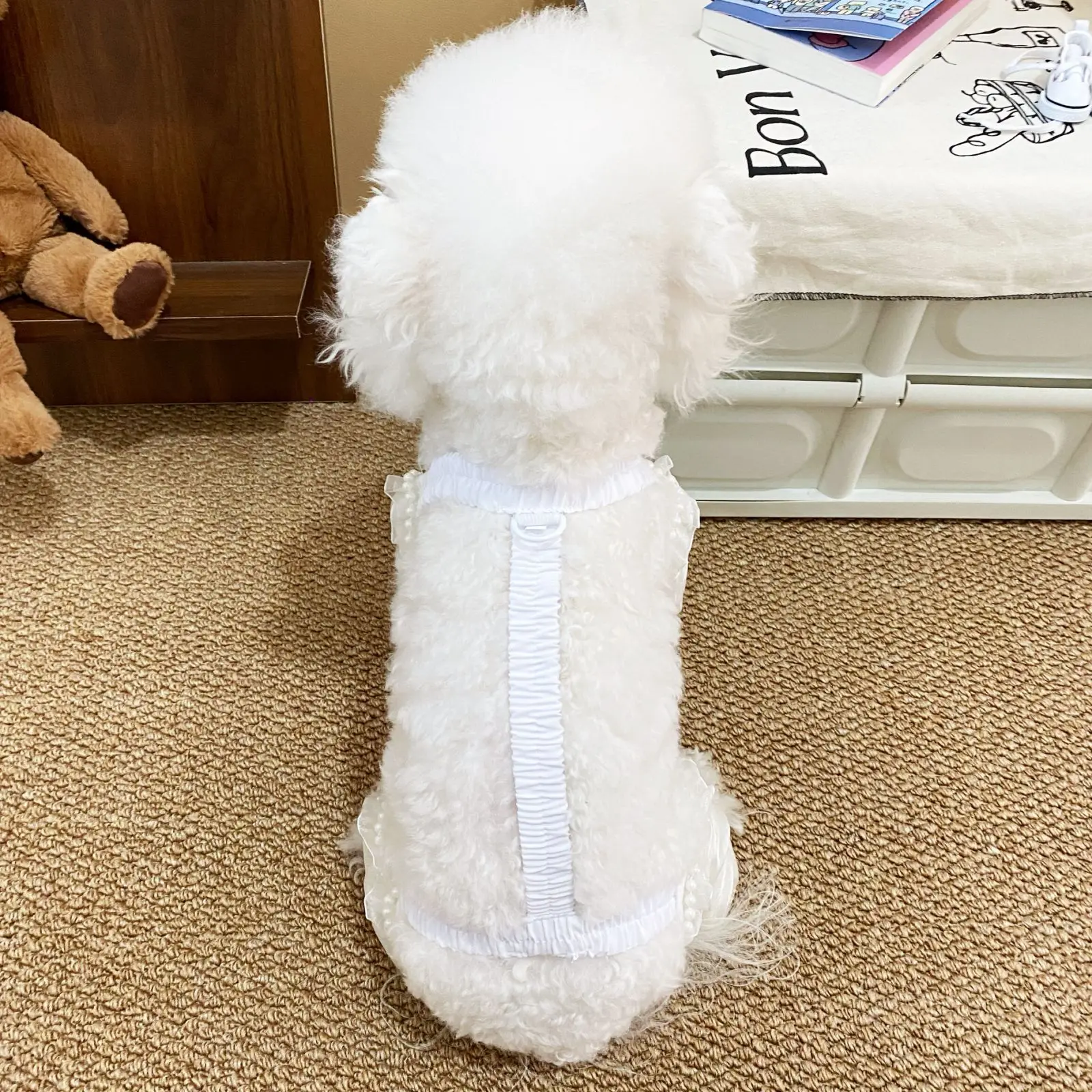 Mono de primavera para mascotas, pantalones antipolvo para exteriores para perros, pantalones para caminar de cuatro patas, cubrepiernas, ropa para cachorros de peluche para perros pequeños - imagen 4