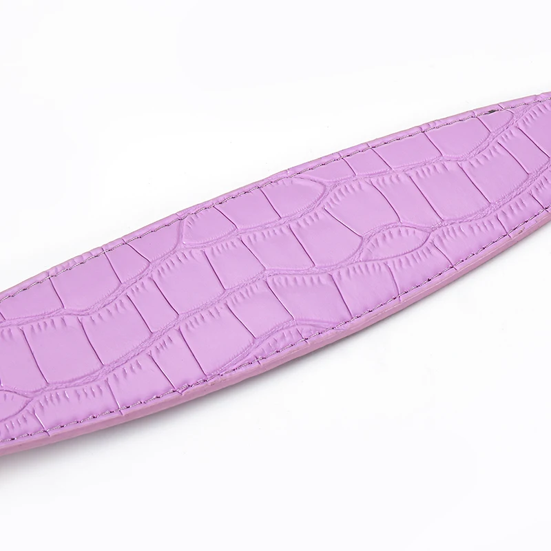 Perro whippet de cuello ancho para mascotas con cuello especial galgo italiano - imagen 5