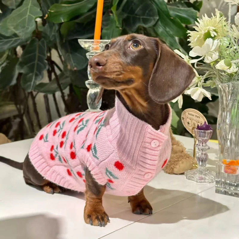 Ropa dulce para perros salchicha en invierno, suéter Floral rosa para perros Wiener femeninos, abrigo cálido de manga corta para perros tejón - imagen 3