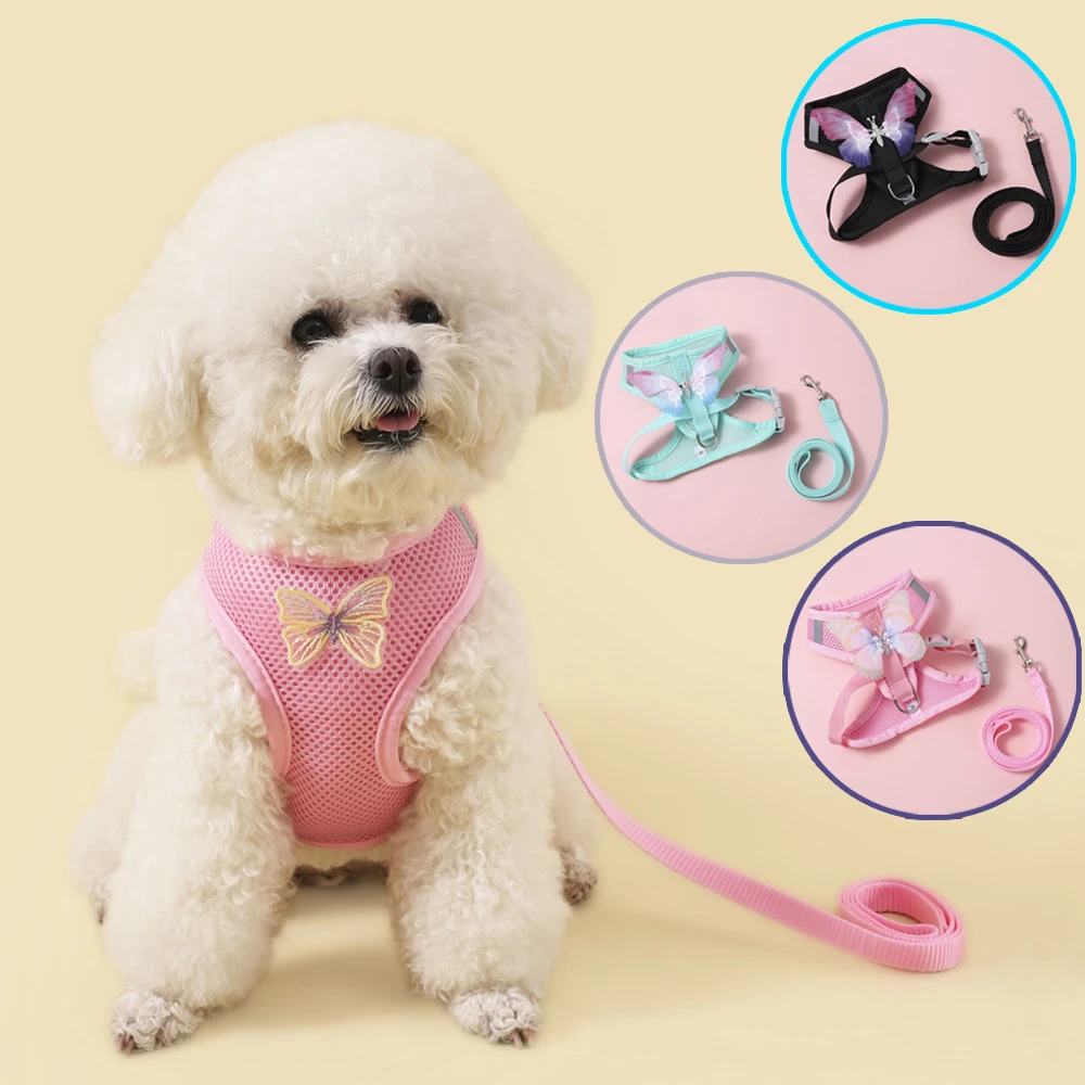 Conjunto de arnés para perro transpirable con forma de mariposa para gato pequeño, correa para el pecho para cachorro, chaleco para caminar al aire libre, accesorios para arnés para perro