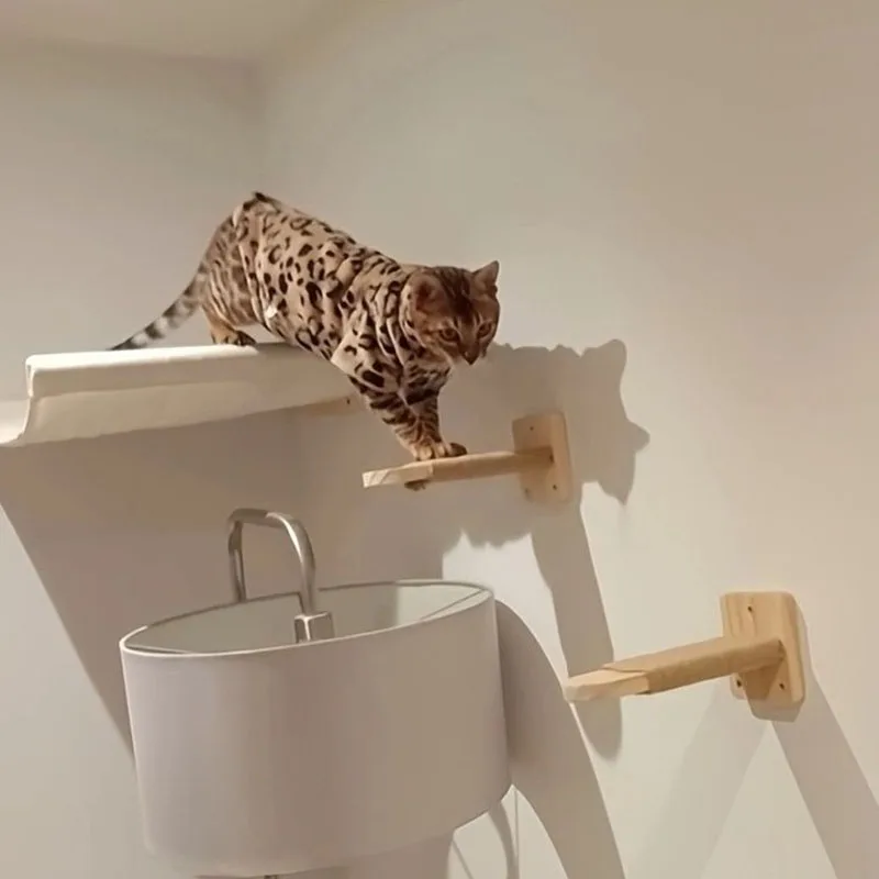 Estante de escalada de pared para gatos, escalera de escalones, poste rascador, cama escondida, casa para gatos, torre de árbol, accesorios para muebles para mascotas - imagen 2