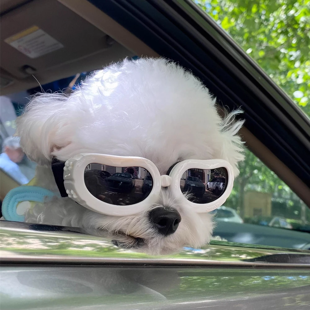 Gafas solares para perros pequeños y gatos – Protección UV y viento al aire libre - imagen 5