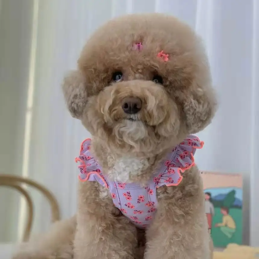 Chaleco Floral bonito para mascotas, chaleco con mangas voladoras para perro, gato, hongos, flor pequeña, oso de peluche, suministros de ropa para mascotas, ropa para perros - imagen 5