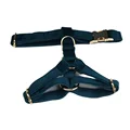 Harness