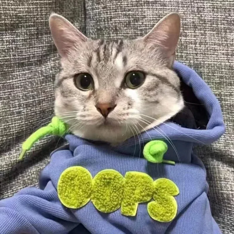 Ropa para perros Perros pequeños Gato Otoño e Invierno Sudadera con capucha cálida Ropa para perros Pug Ropa para cachorros Suministros lindos Productos Accesorios - imagen 2