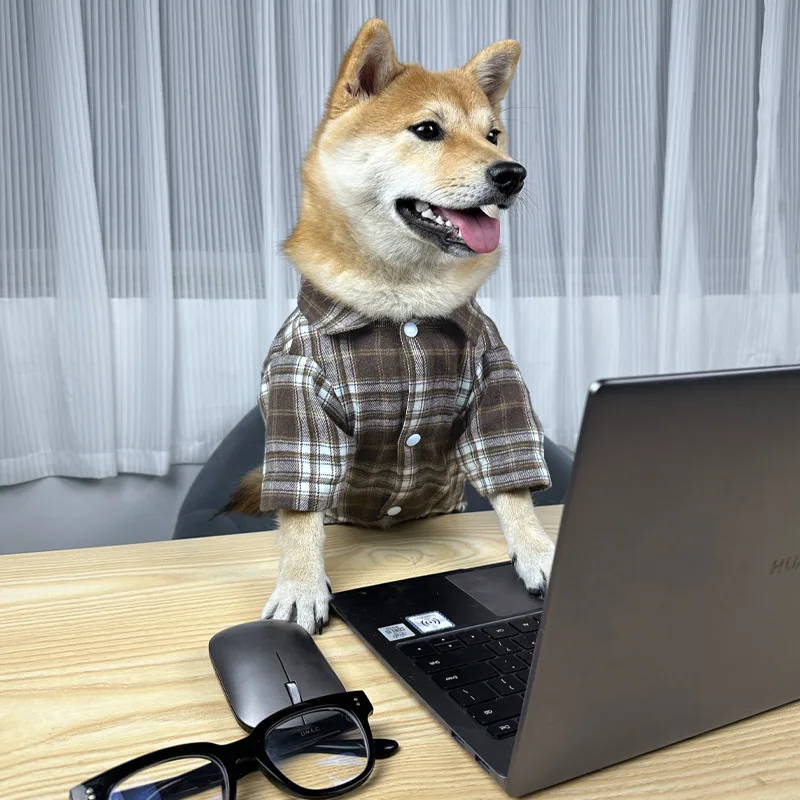 Camisa de estilo británico para perros y gatos, ropa para mascotas con anillo en D para perros pequeños, ropa para cachorros Shiba Inu Corgi, primavera y verano - imagen 3