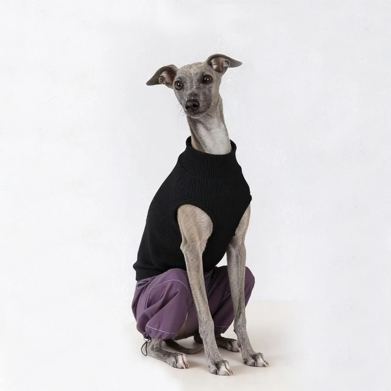 Pijama de algodón para Whippet y Galgo Italiano - imagen 3