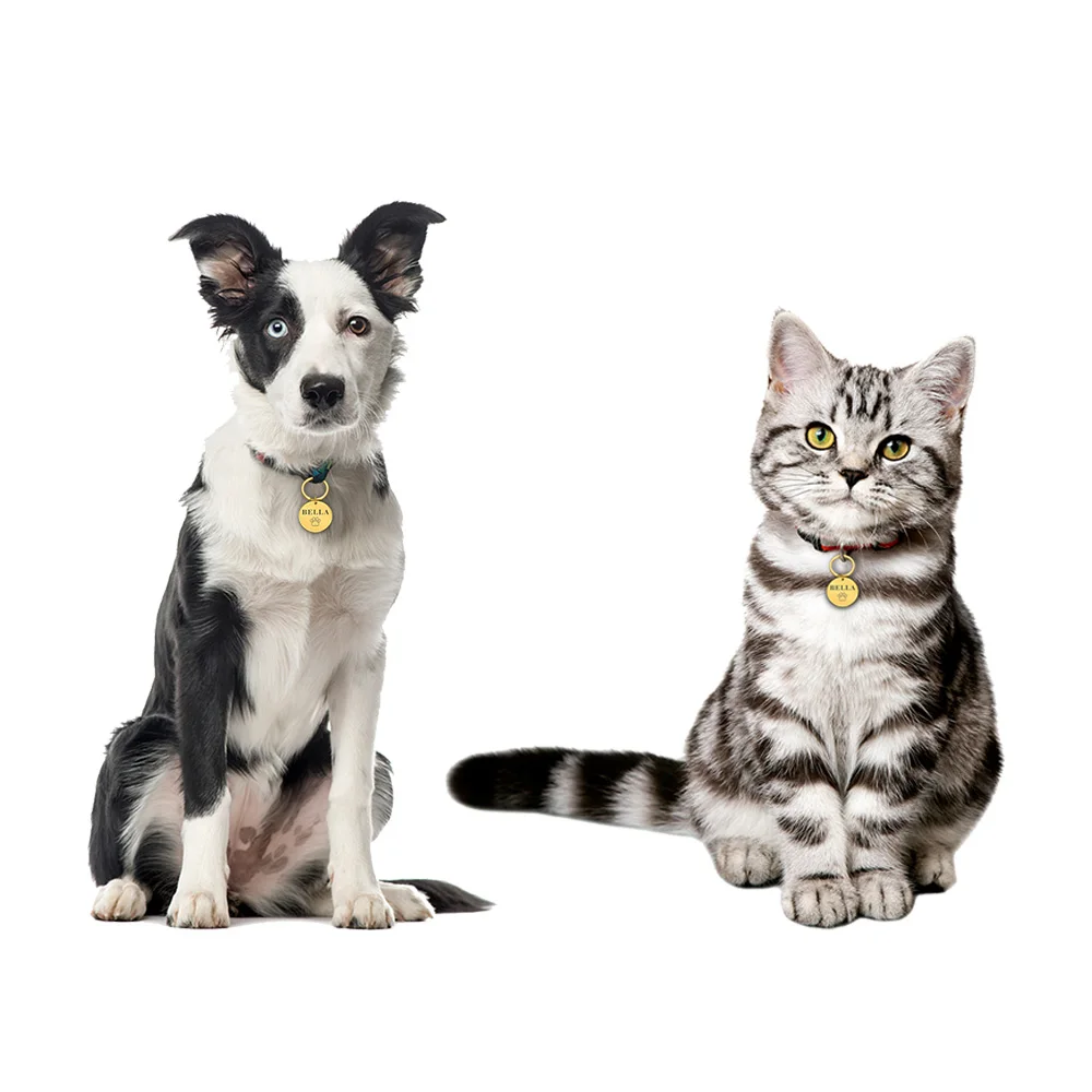 ID Tag Custom Name Anti-lost Engraved Record Tel Address Cat Puppy Personalized Paw Print Medal Pendant Pet Dog Collar Accessory - imagen 4