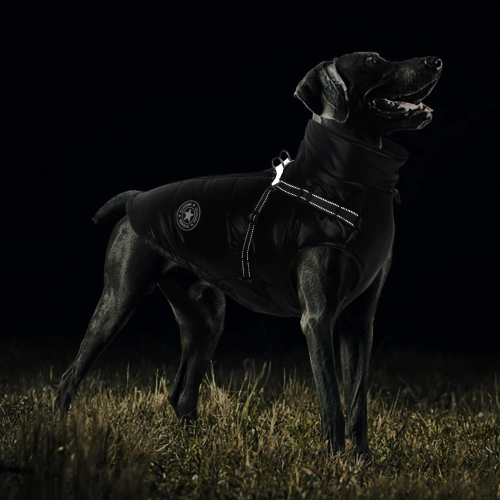 Chaqueta de invierno para perros pequeños, ropa para mascotas, ropa cálida reflectante para exteriores para perros pequeños y medianos, trajes impermeables a prueba de viento 2024 - imagen 3