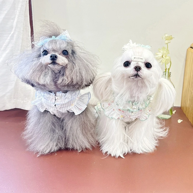 Vestido con cuello de encaje para mascotas, chaleco con lazo bonito, vestidos de princesa frescos para perros pequeños, ropa para cachorros - imagen 2