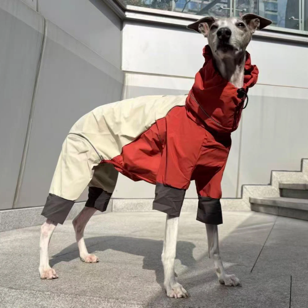 Chaqueta impermeable para perros Whippet con franjas reflectantes - imagen 4