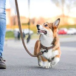 Collar acolchonado con correa para perros – Ajustable para todas las tallas