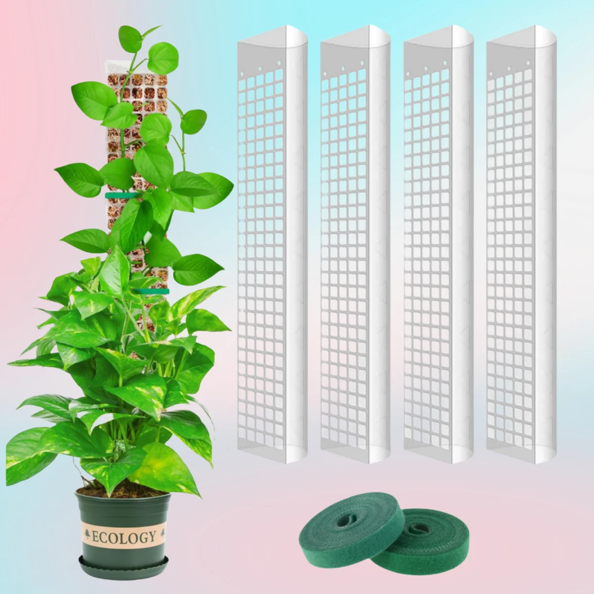 Poste de musgo para plantas, sujeto de jardín, escaladores de plantas de flores, accesorios para bonsái, macetas, tutores, para maceteros, soporte para crecimiento de plantas - imagen 4