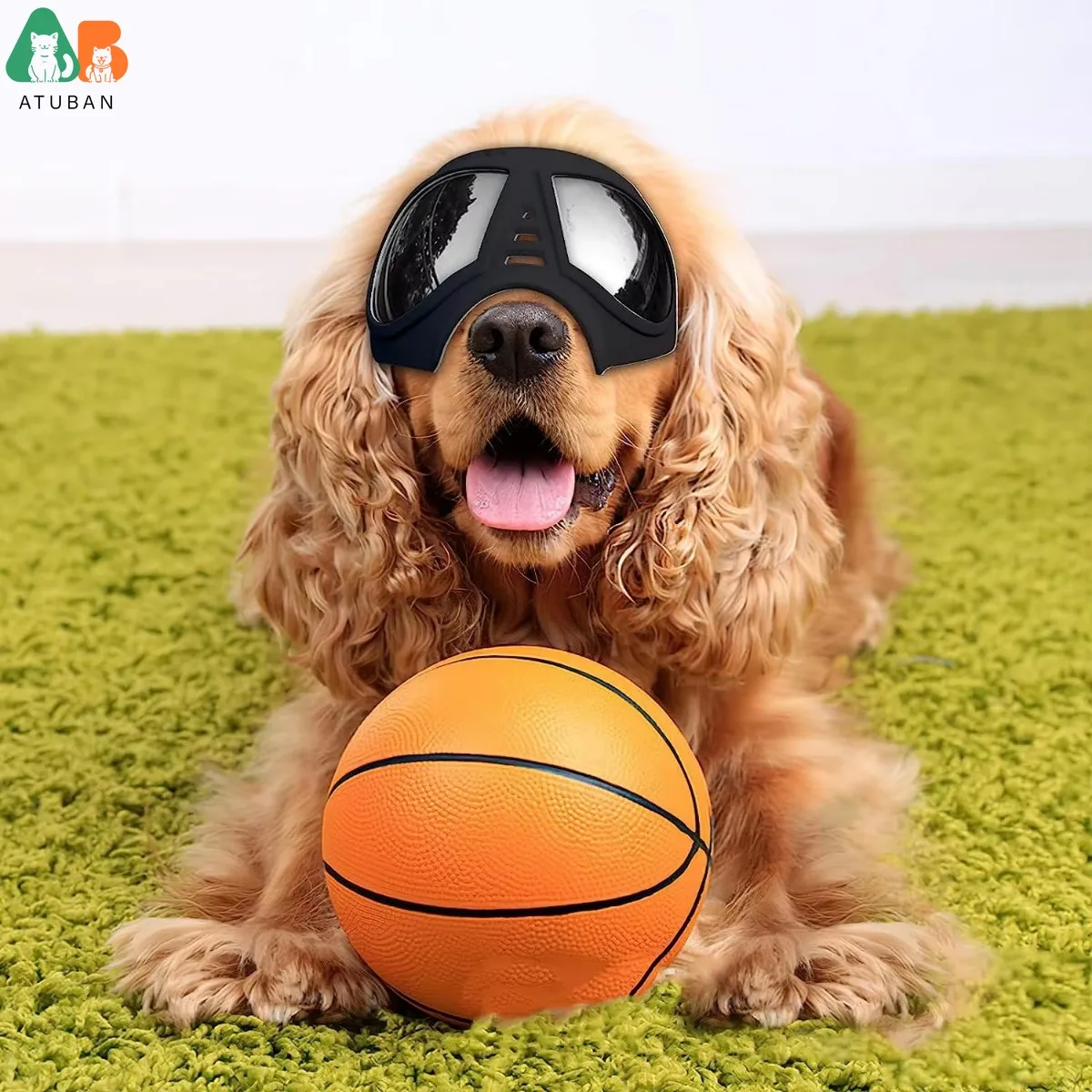 Estuche de protección duro