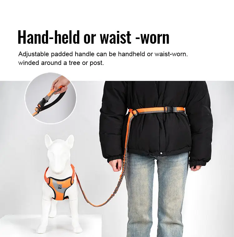 Winhyepet-Cinturón de seguridad de coche para perro, correa retráctil de manos libres de alta calidad, cinturón de cintura ajustable, correa elástica para correr - imagen 3