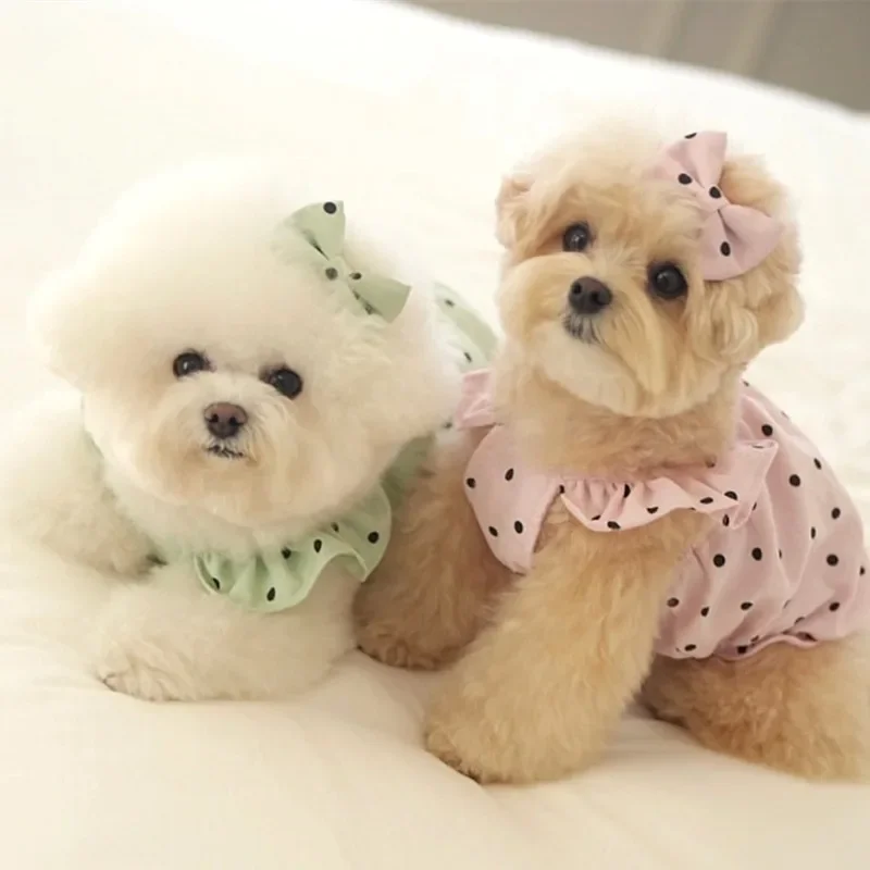 Solo vestido rosa, ropa para mascotas, vestido para perros, patrón de lunares, ropa para perros, falda fina de peluche de verano, jersey bonito, ropa para perros femeninos - imagen 4