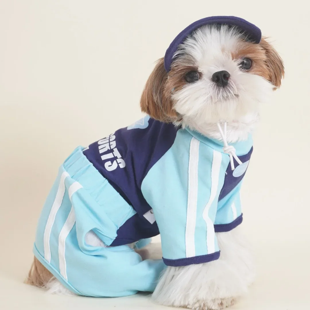 Mono para mascotas para otoño e invierno, oso nevado, lindo sombrero para el sol deportivo, perro pequeño, gato, ropa deportiva de cuatro patas, ropa para cachorros - imagen 2