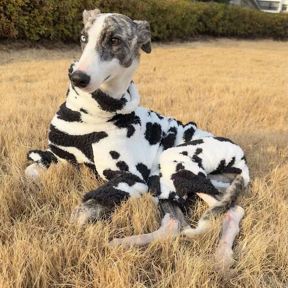 Ropa para perros, chaqueta de invierno de 4 patas para galgo italiano, sudadera blanca negra para perros Whippet, abrigo cálido para Terrier - imagen 4