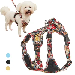 Arnés y correa para perro: estampado, reflectante y transpirable
