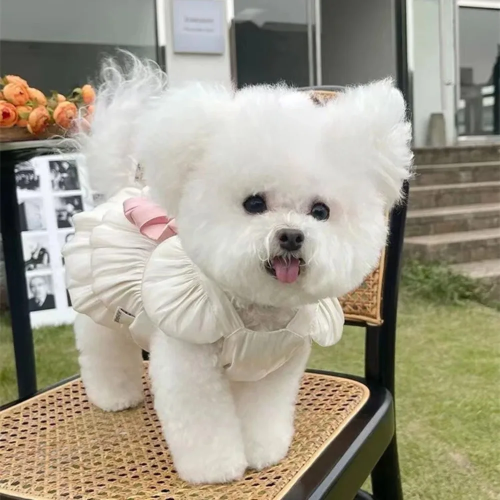 Falda de gasa transpirable ligera que fluye, oso de peluche, perro, gato, salir a remolque, protección solar delgada, ropa para mascotas, primavera, verano, nuevo - imagen 3