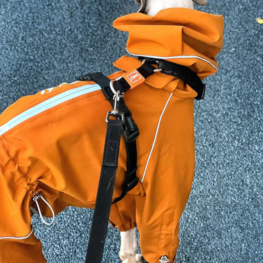 Chaqueta impermeable para perros naranja: Whippet y galgo italiano - imagen 5