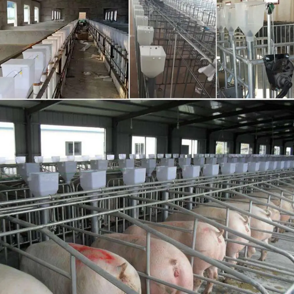 Alimentador de pluma de cerda de alta durabilidad, superficie lisa, alimentador de posicionamiento de Cerdas de cerdo de plástico con cubierta a prueba de polvo, suministros de granja de cerdos