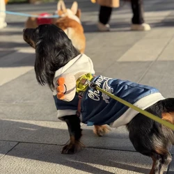 Chaqueta vaquera con capucha para Dachshund – Abrigo ligero