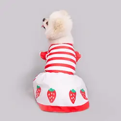 Vestido verano fresa para perros y gatos rojo y blanco