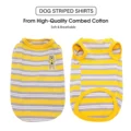 yellow stripe